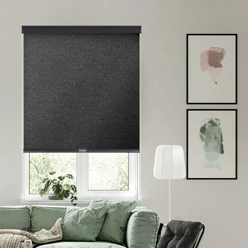 2026 Modern Dual Roller Shades Cordless Blackout Light Filtering Window Blinds Fabric Design with Day Night Functionality Black