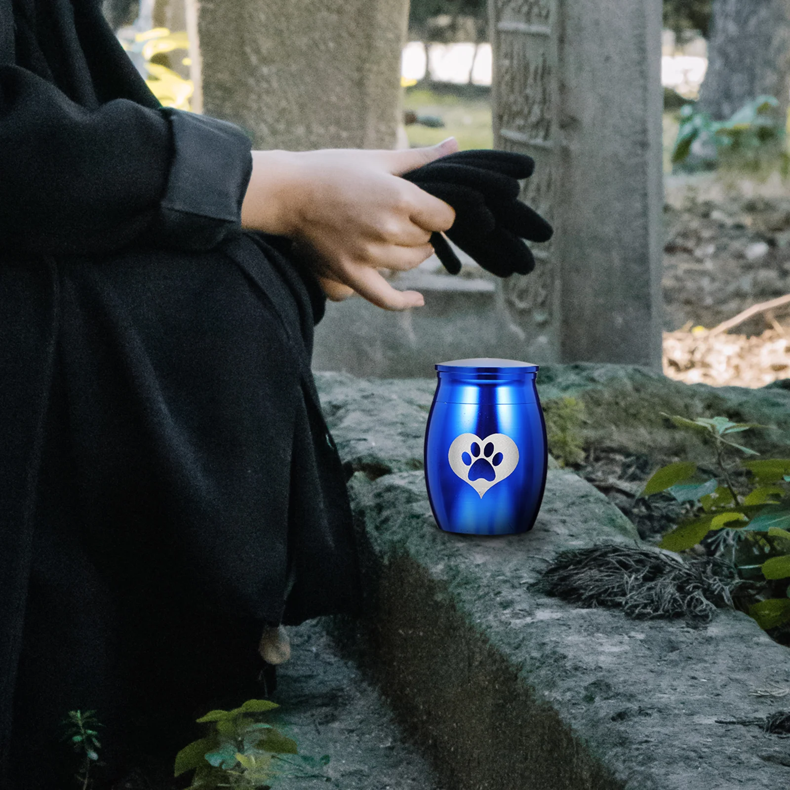 

1pc Pet Urn Steel Ashes Holder Indoor Memorial Ornaments Blue Cremation Lovely Dog Urns For Ashes Dog Cats Pet Accessories