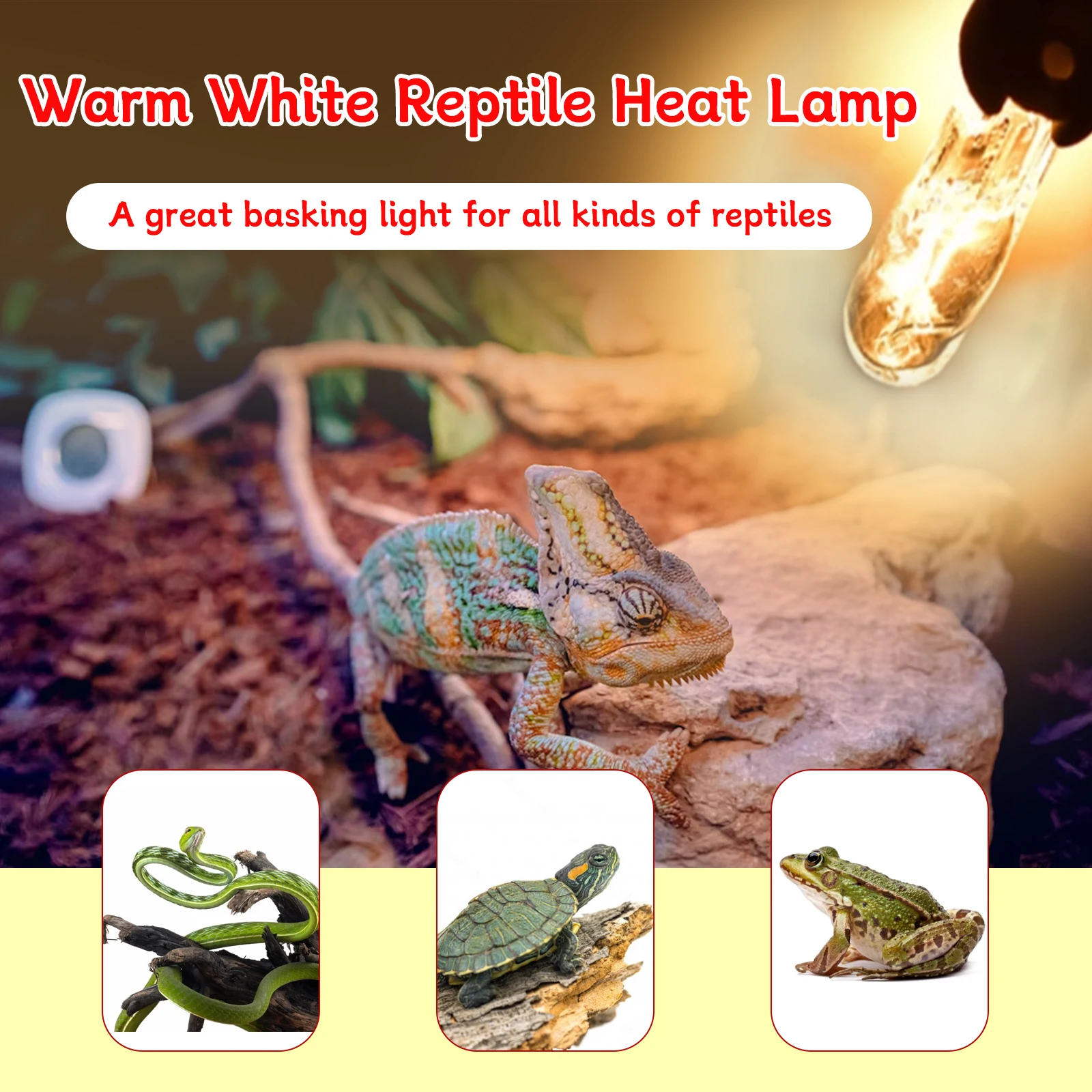 爬虫類用G9ヒートランプ電球10個、ミニ爬虫類ライト2ピンベースUVA爬虫類ヒートランプ（ヒゲトカゲ、ヤモリ、カメ、トカゲ用）