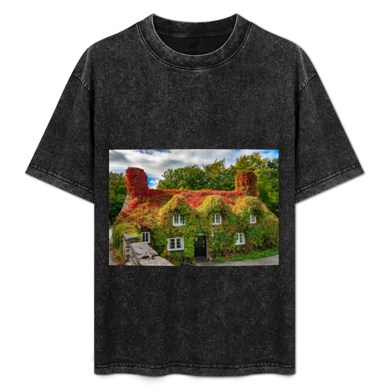 Autumn Tea House Llanrwst Wales T-Shirt quick-drying custom t shirt custom shirt tees mens big and tall t shirts