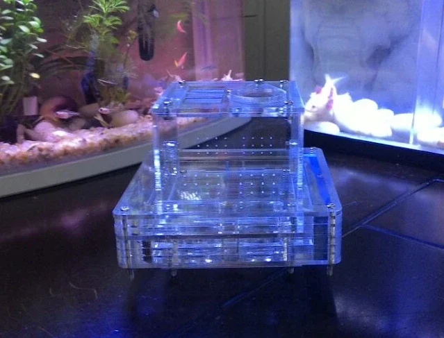 

1 шт. акриловое муравьиное гнездо муравьи, вилла, космический корабль