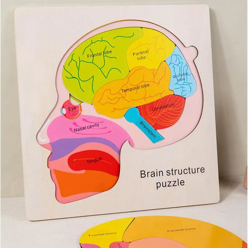 Piezas del cuerpo, rompecabezas, piezas del cuerpo para niños, aprendizaje, juegos de rompecabezas realistas creativos para la escuela en casa, laboratorio preescolar, ciencia en el aula