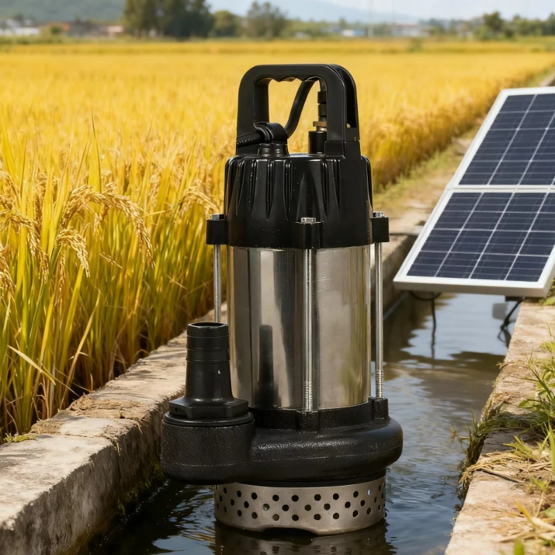 

Solar Water Pump: Brushless Motor for Agricultural Irrigation Stainless Steel Submersible Design
