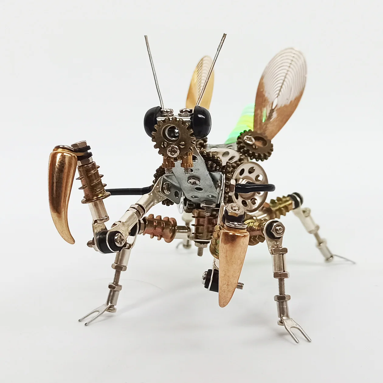 Mechanical precision insect three-dimensional DIY assembly model