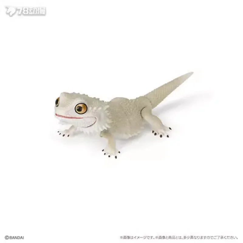 Original Bandai Gashapon Qversion Mini Big Biological Map Gekko Lizard Armadillo Anime Figure Model Action Toys Collection Gifts