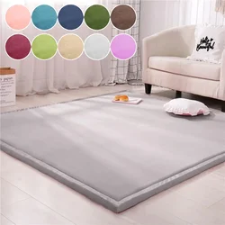 1PC Tatami Coral Velvet Carpet Living Room Bedroom Window Bed Rugs Baby Play Mat Children Room Carpet 2/3cm Thick Customized