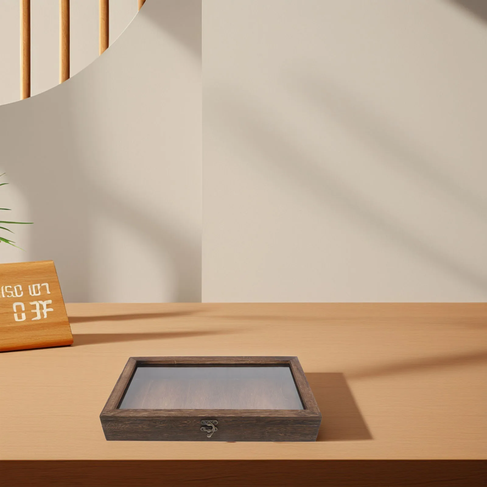 Small Shadow Box Frame for Butterfly Specimens Wooden Storage Case with Clear Lid Insect Showcase Jewelry Tray Keepsake Box