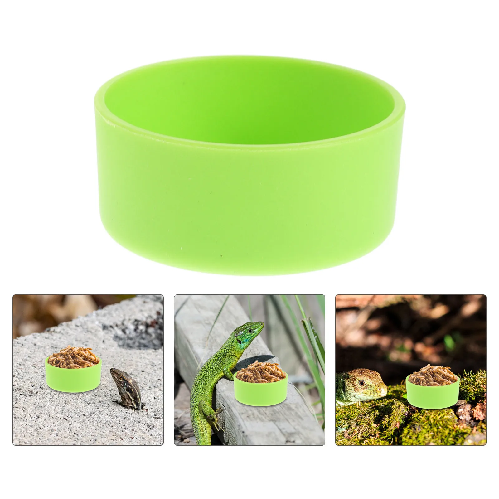 

30Pcs Reptile Feeding Bowl Stable Nontip Food Water Dish for Bearded Dragon Lizard Gecko Chameleon Hermit Crab Tarantula Spider