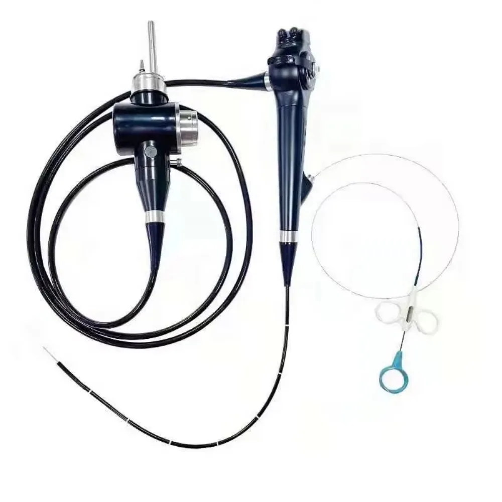 Veterinary Medical Endoscope Portable Gastroscope Veterinary Hospital Colonoscopy