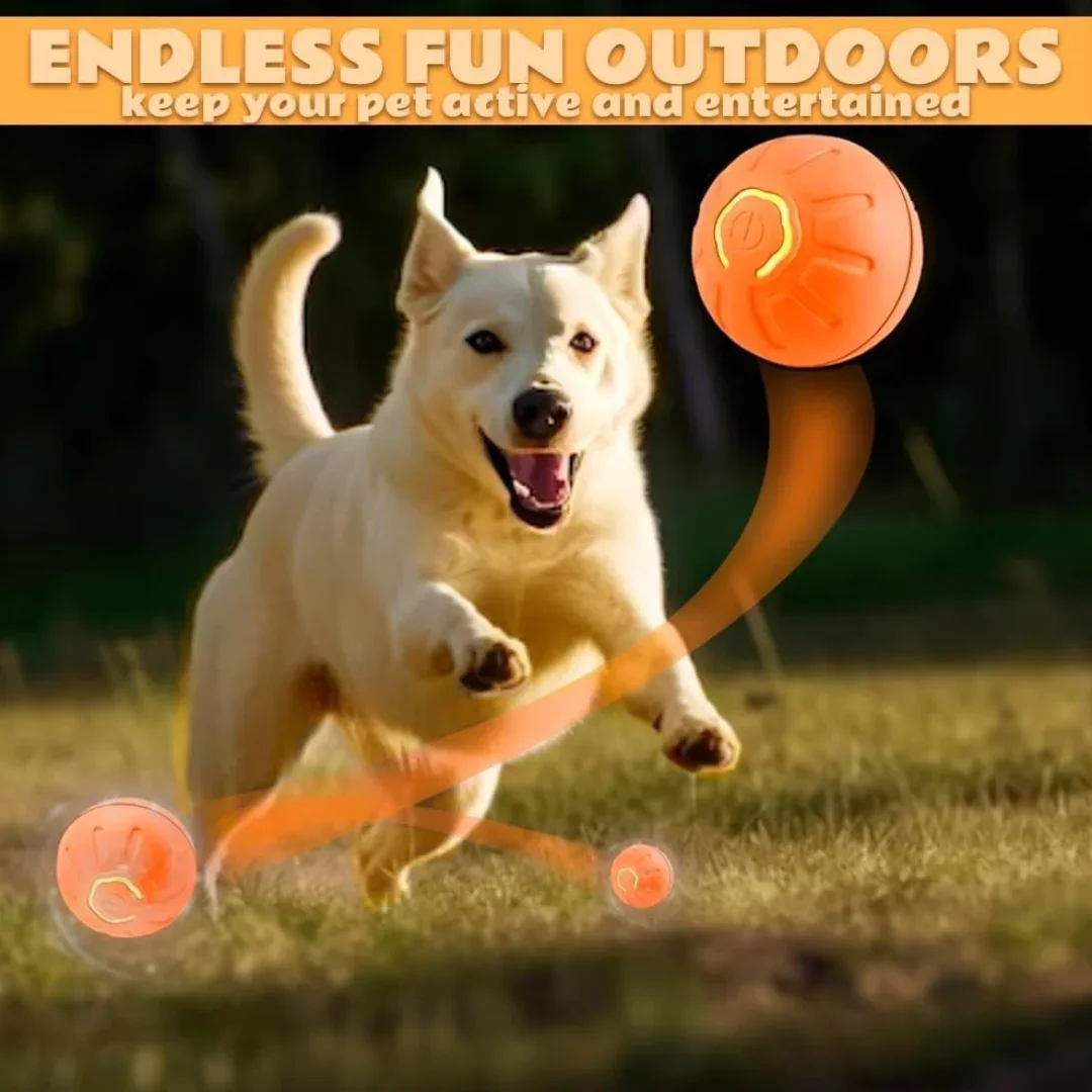 Pet Ball Smart Bouncing Ball for Dogs and Cats Interactive Amusement Toy Automatic Rolling Ball USB Rechargeable