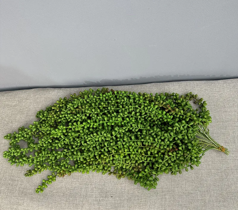 Lebendige künstliche Sukkulenten, Ranke für Weihnachtsbaum, Zubehör, Innenzimmer, Wandbehang, Hochzeitsbogen, Dekoration, Garten im Freien – Detail 5