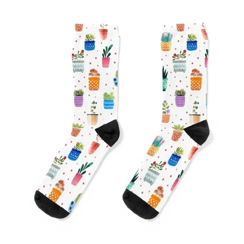 

Spain - Colorful plant pots Socks sheer new in's aesthetic Running Socks For Girls Men's
