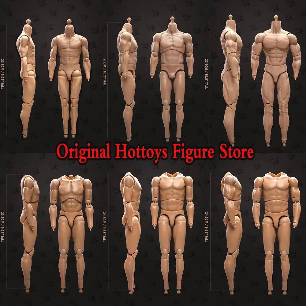 

23TOYS 23-BD001 1/6 Scale Male Soldier Standard Muscle Joint Body 23.5cm - 27.5cm Action Figure Articulate Bodies In Stock