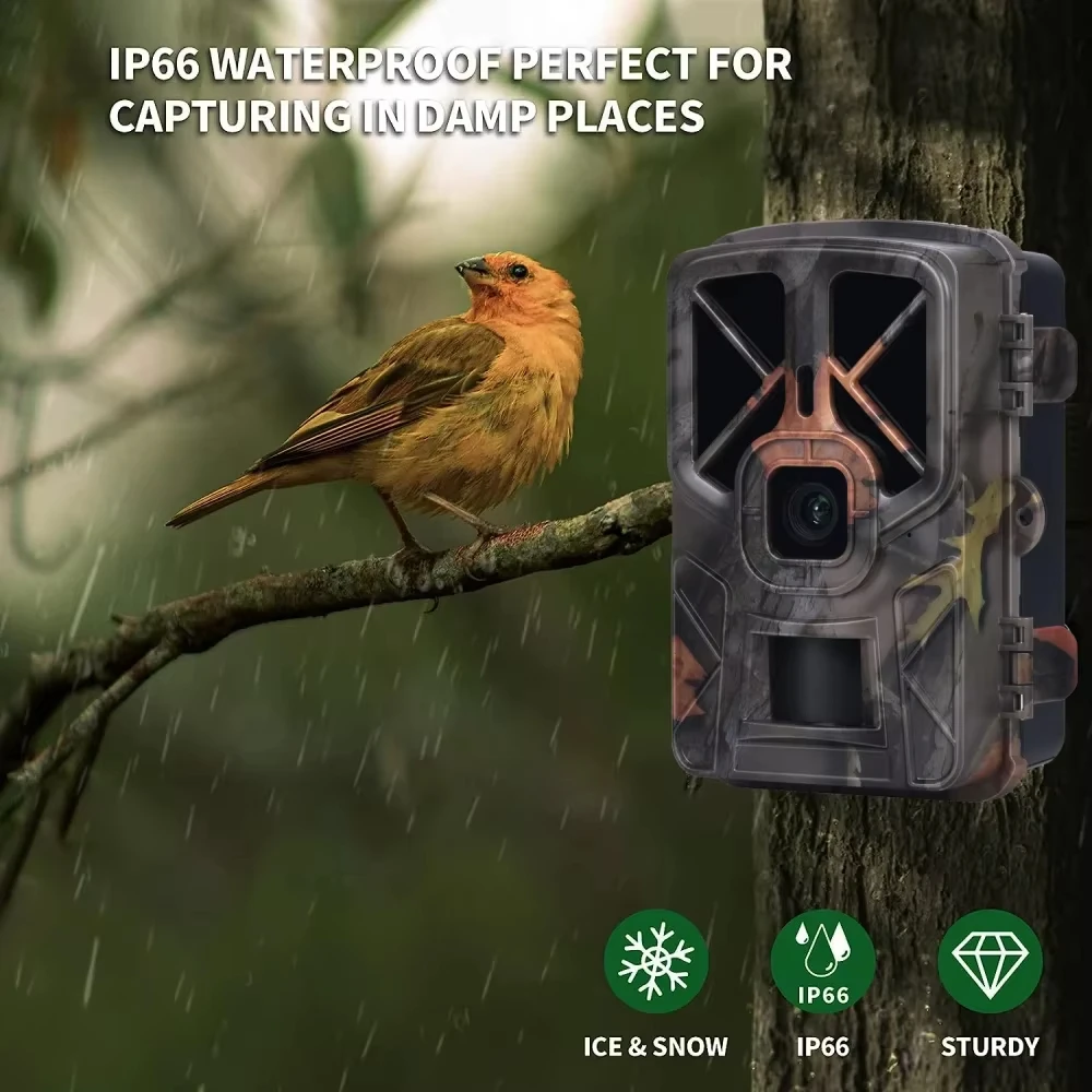 Suntekcam 4k HD 50MP Trail Game Camera HC-935A Infrared Low Glow Arction Night Vision Waterproof Hunting Wildlife Photo Trap Cam