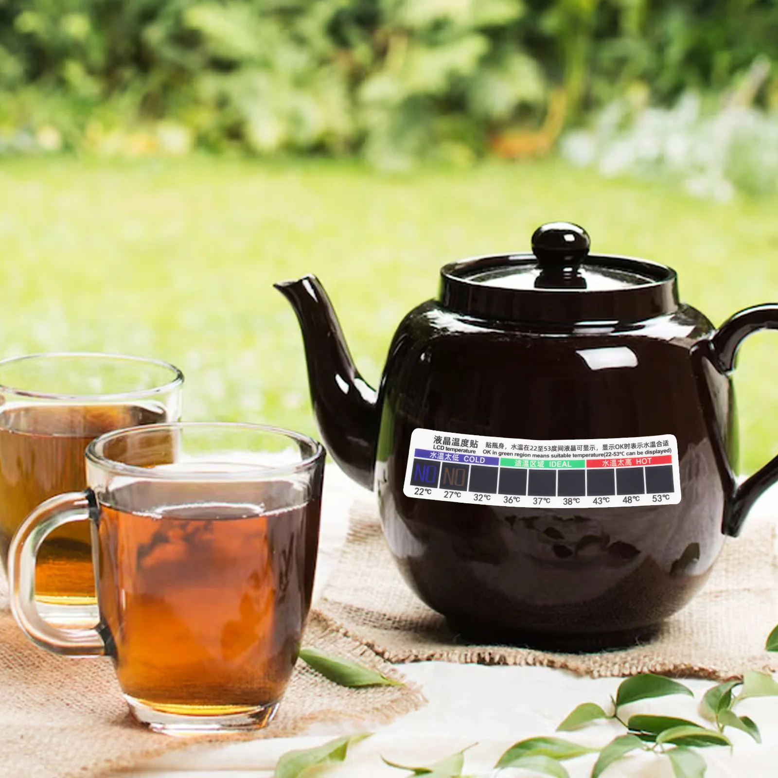 : Wasser-Thermometer