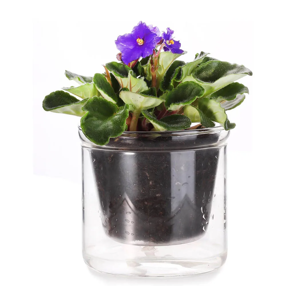 4 Inch Self Watering Pot,African Violet Pot,Bottom Watering Glass Planter for Indoor Plants and Progagation