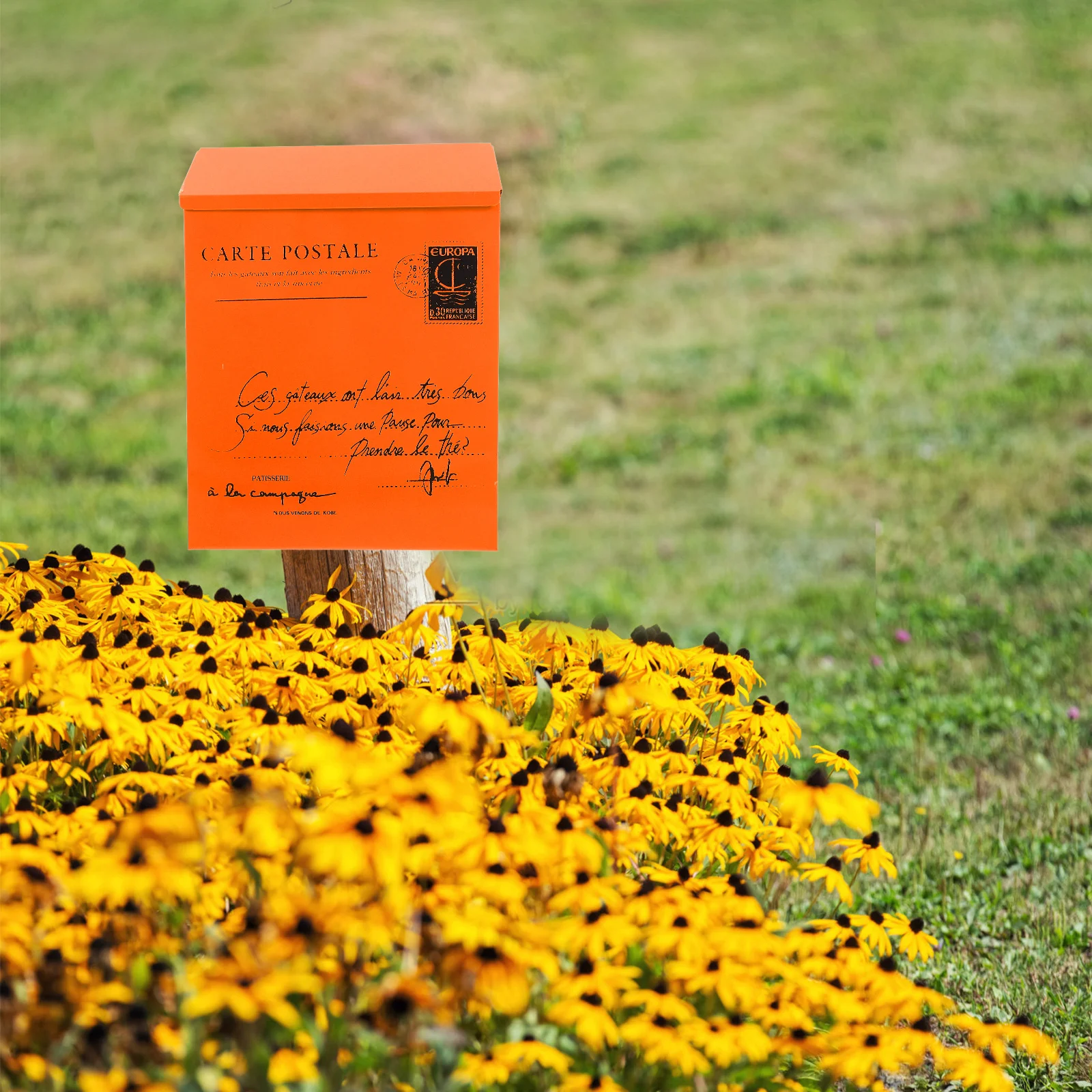 

Mailbox Boxes for Outdoor Mailboxes outside Wall Mount Reception Pox
