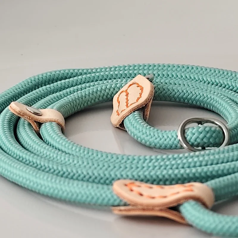 PP Material Pet Training Lead Leash Adjustable No Pull Dog Rope with Metal Hook Reflective Safe P-collar for Small Medium Dogs​
