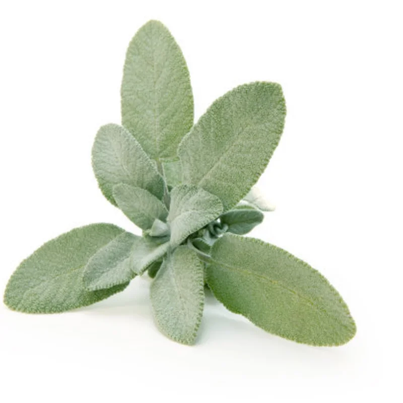 

MJX 10208 металлический задний нижний рычаг подвески поворотный рычаг 1/10 детали для обновления радиоуправляемого автомобиля аксессуары