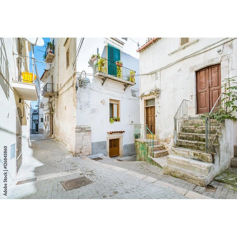 NITREE Streets Seaside Island Scenery and Plants Houses White Pigment Wedding Photos Photography Background Props HJD-02