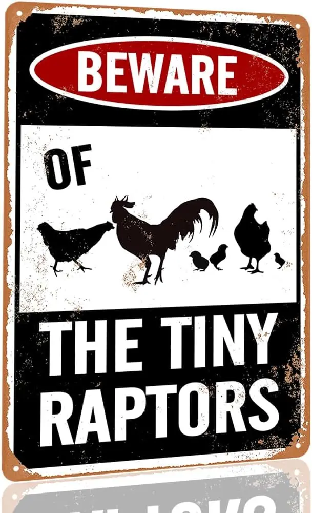 Y1,Beware Of Chicken Sign Signs For Coop Funny Outdoor Beware The Tiny Raptors A