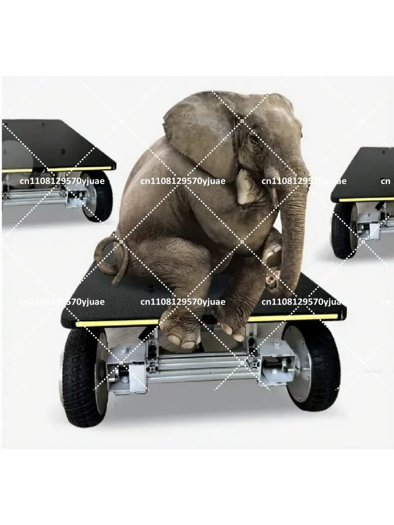 4WD Metal Remote Control Car, Flat Panel Electric RC Truck with Long  Life and Independent Steering