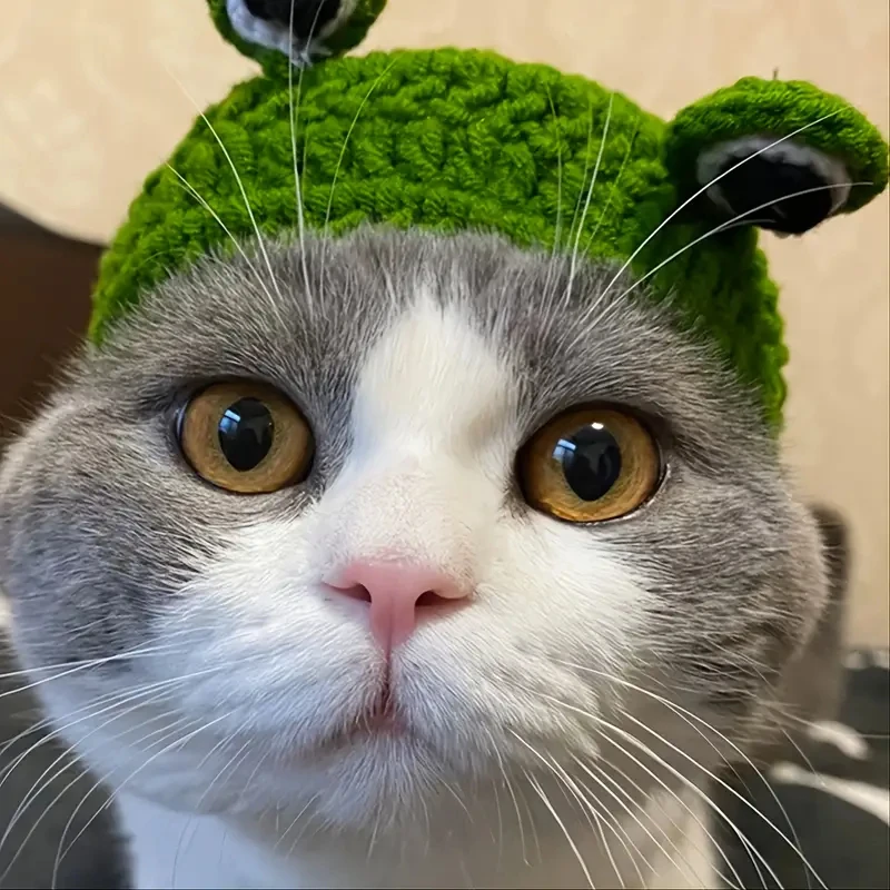 1pc Cute Fun Green Knitted Frog Shaped Pet Hat/headgear/cap for Keeping Warm for Small Pets Cats Dogs for Parties or Photoshoots