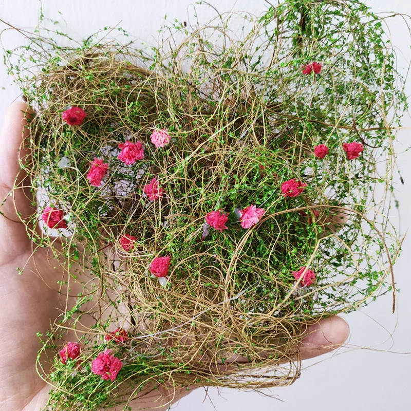 مصغرة محاكاة زهرة الكرمة نموذج نبات العشب لبناء الجدار/السياج الديكور DIY بها بنفسك طاولة الرمل المشهد المواد Diorama عدة #4