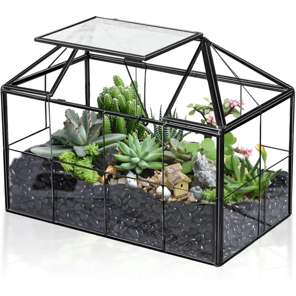 Modern Tabletop Terrarium Kit for Succulents and Plants - DIY Greenhouse Display Box