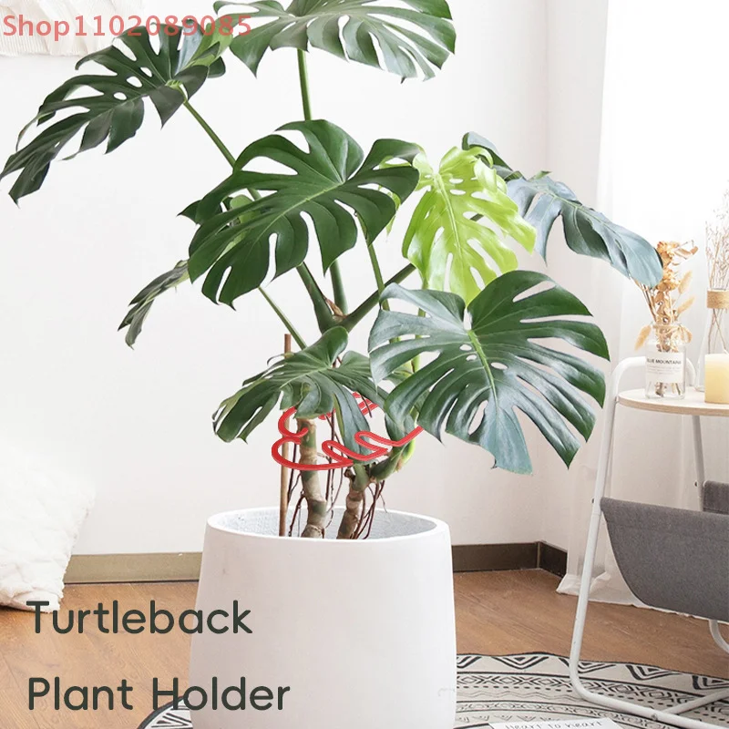 

Фиксатор цветочного листа, черепаховый бамбуковый зажим, многоразовый пластиковый держатель для поддержки стебля растений, фиксатор растений