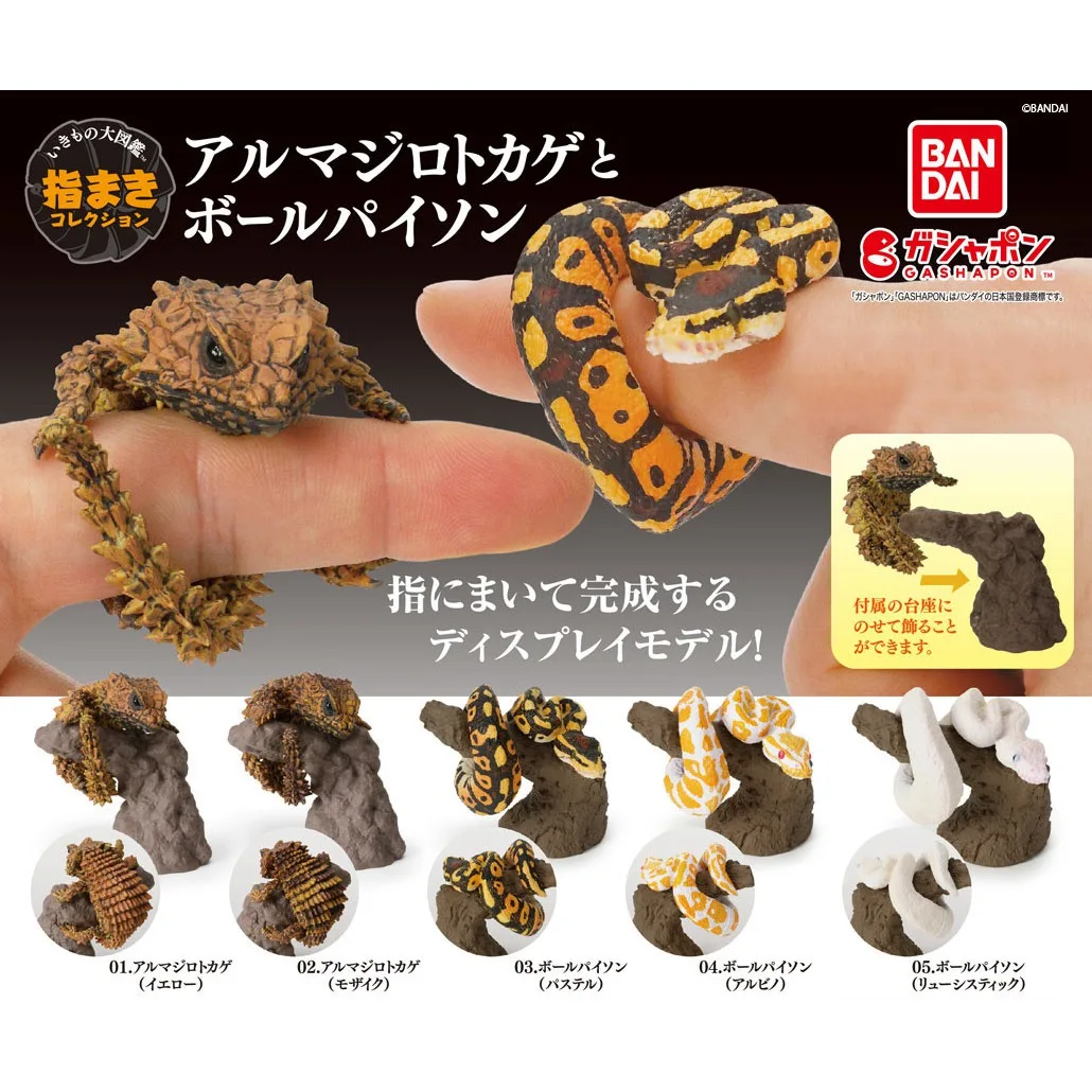 Japanese Genuine Gacha Scale Model Biological Cognitive Model Fingertip Toy Girdled Lizard Ball Python Action Figure Toys