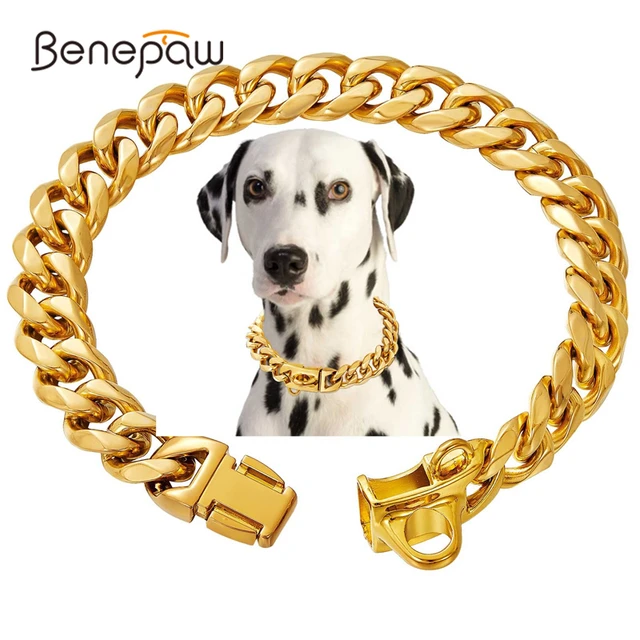 Cuban link dog chain collar best sale