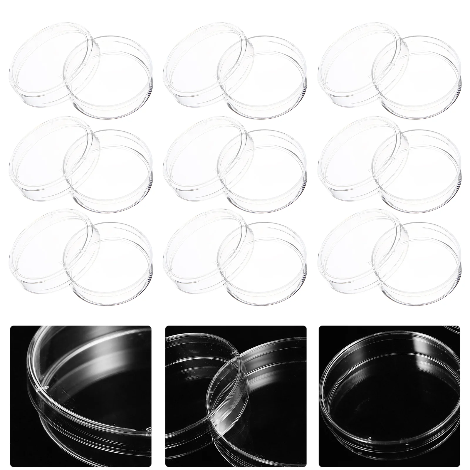 

30 Pcs Culture Plate Clear Petri Dish Tissue Dishes with Lids for Science Kit Plates Sterile Laboratory Experiments