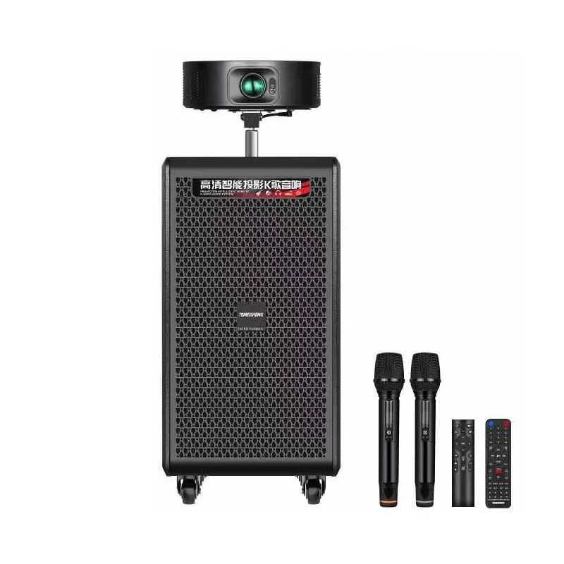 

Smart Projector Outdoor Toplive Audio Home Karaoke High Power Card Bluetooth Speaker with Microphone