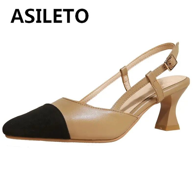 ASILETO Womens Sandals Pointed Toe Spool Heels Back Buckle Strap Shallow Plus Size 32-43 Mix Color Black Apricot S3847