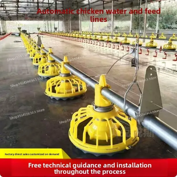Complete Automatic Poultry Feeding & Drinking System for Chicken Farm, Feed Hopper & Water Line with Conveyor,Farm Equipment Set