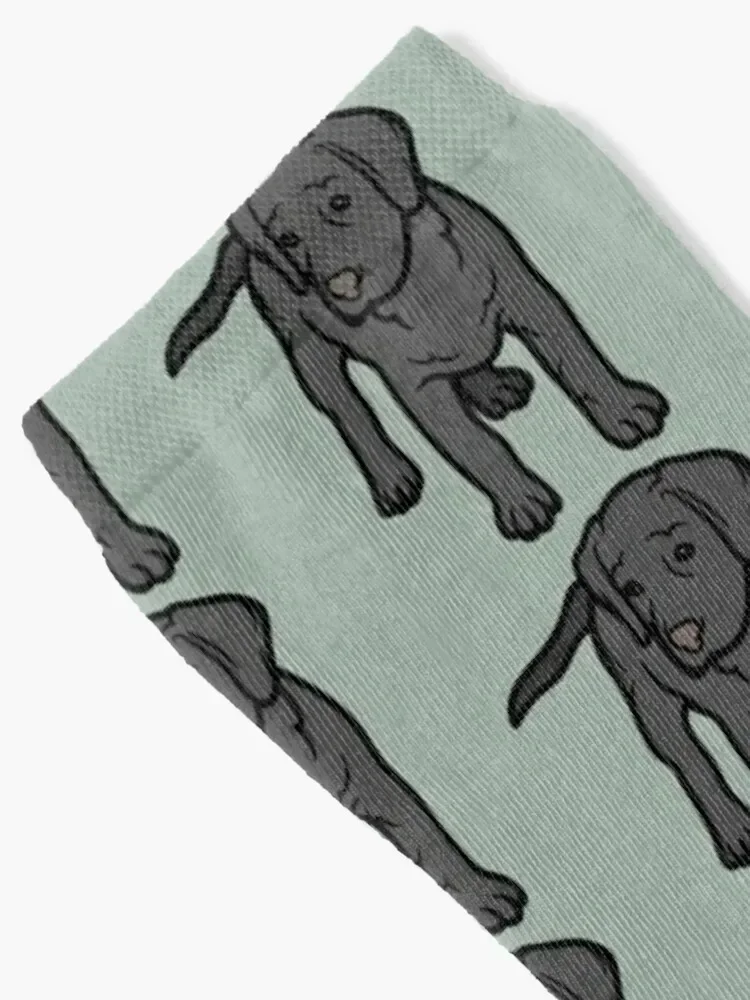 Charcoal lab puppy Socks designer New year's custom sports Socks For Women Men's