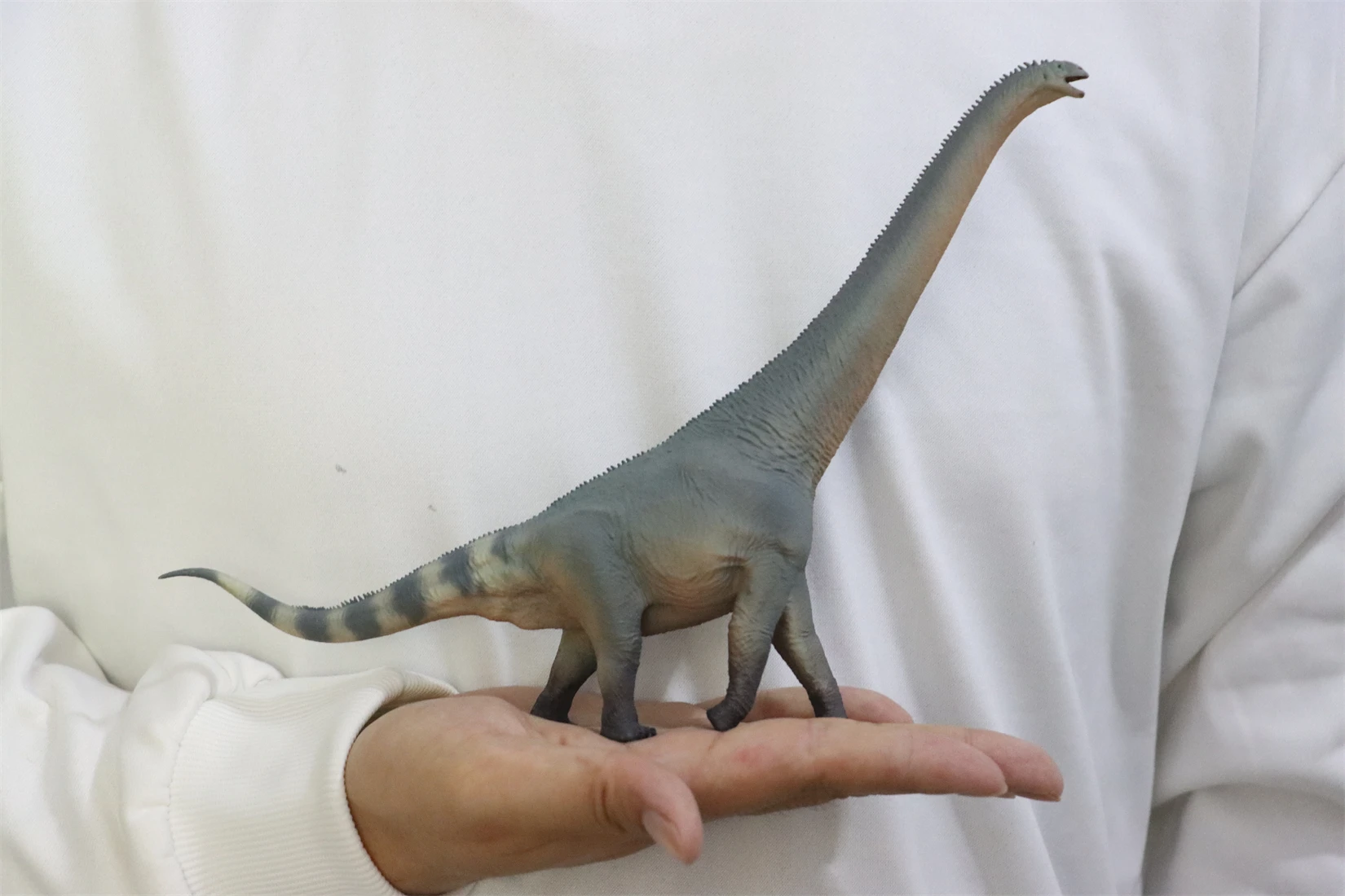 HAOLONGGOOD 1:35 Euhelopus モデル Sauropoda 恐竜 Euhelopodae 動物フィギュアコレクションシーン装飾誕生日ギフト