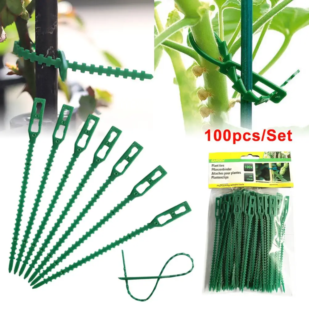 10-100pcs Reusable Orchard and garden Cable Ties Tools Plant Support Shrubs Fastener Tree Locking Nylon Adjustable Plastic