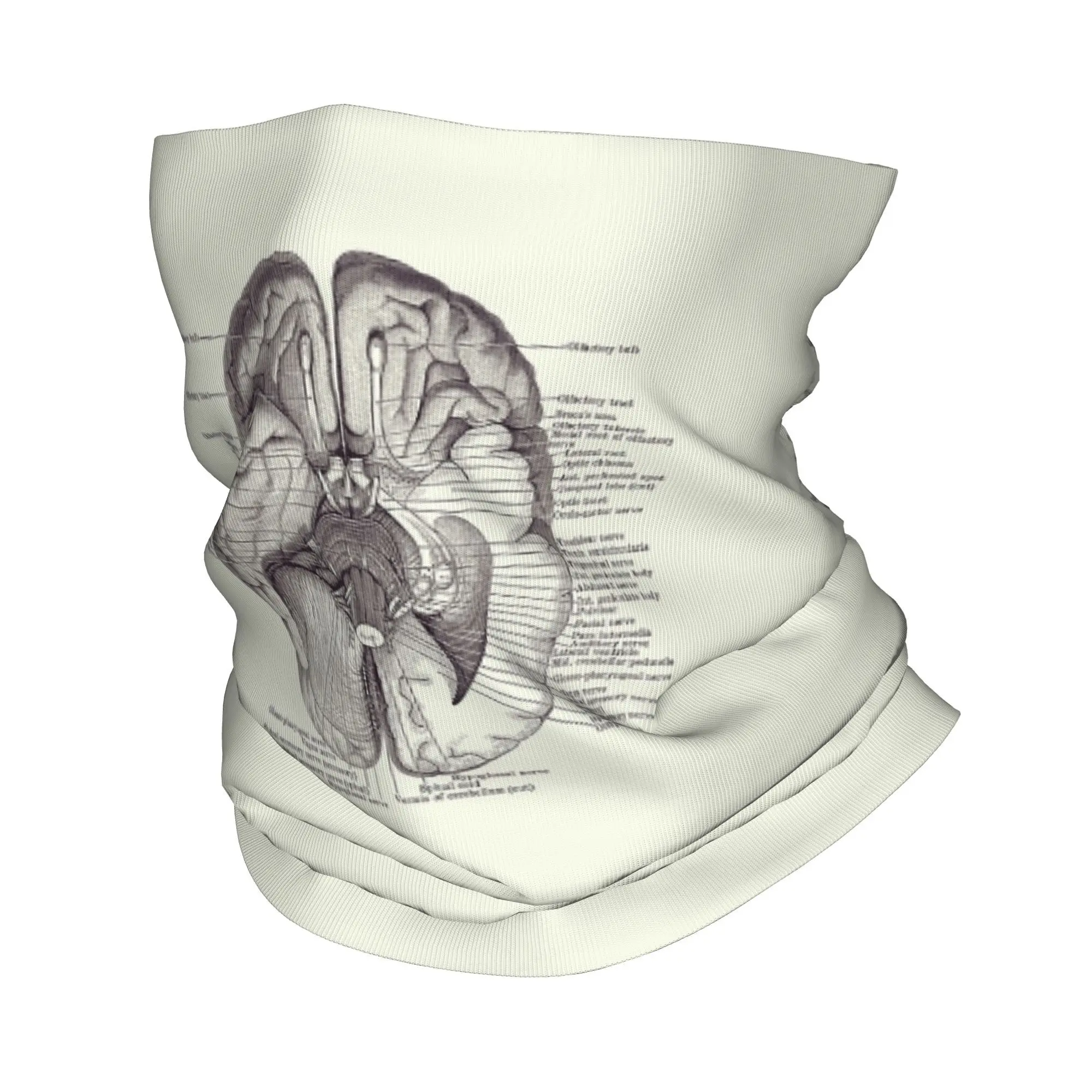 مخطط الجهاز العصبي للدماغ - وشاح ملفوف مطبوع عليه تشريح عتيق للرقبة بالاكلافا الدافئة لركوب الدراجات