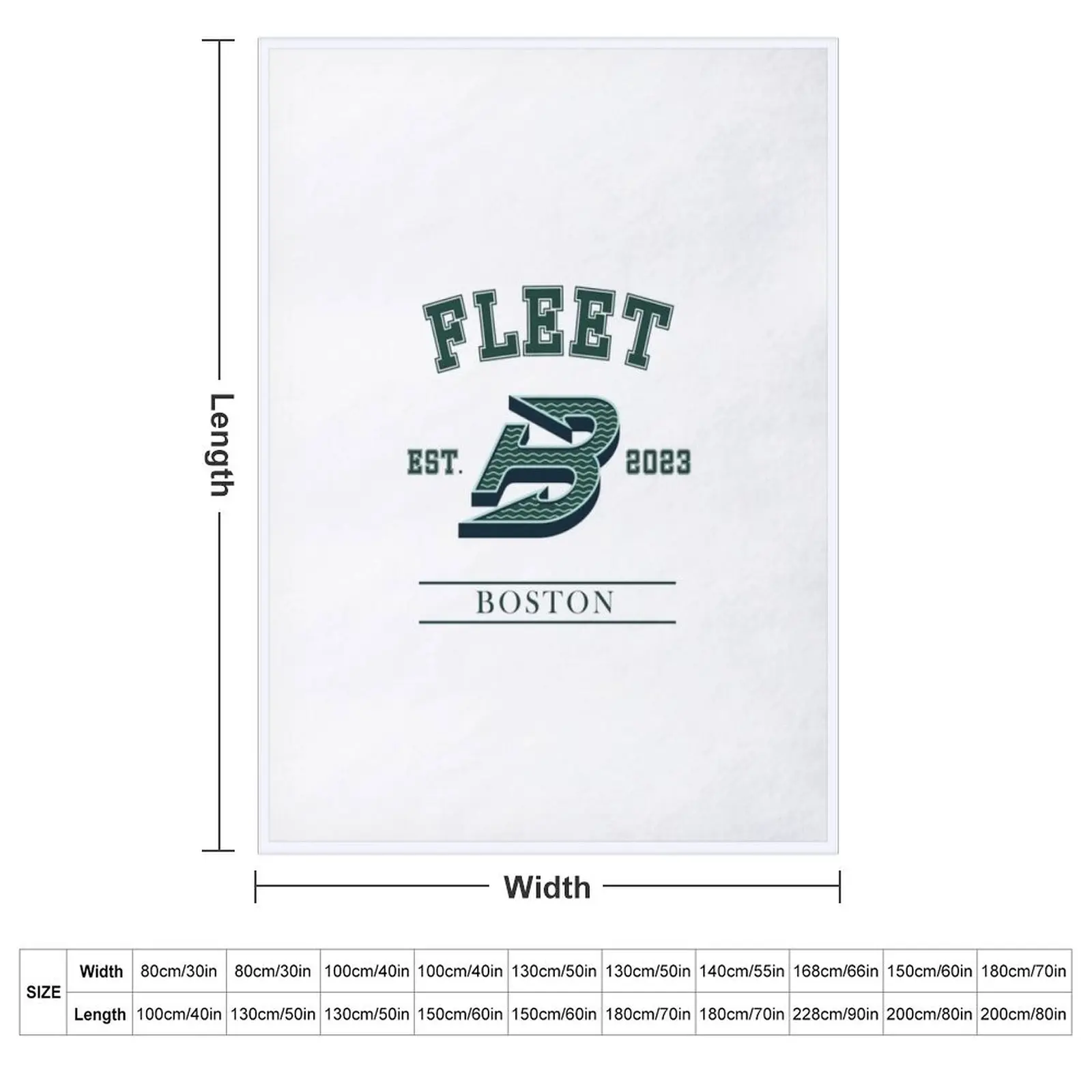 Boston Fleet PWHL Vintage Logo Throw Blanket Fashion Sofas manga Travel Bed Extra Large Throw Blankets