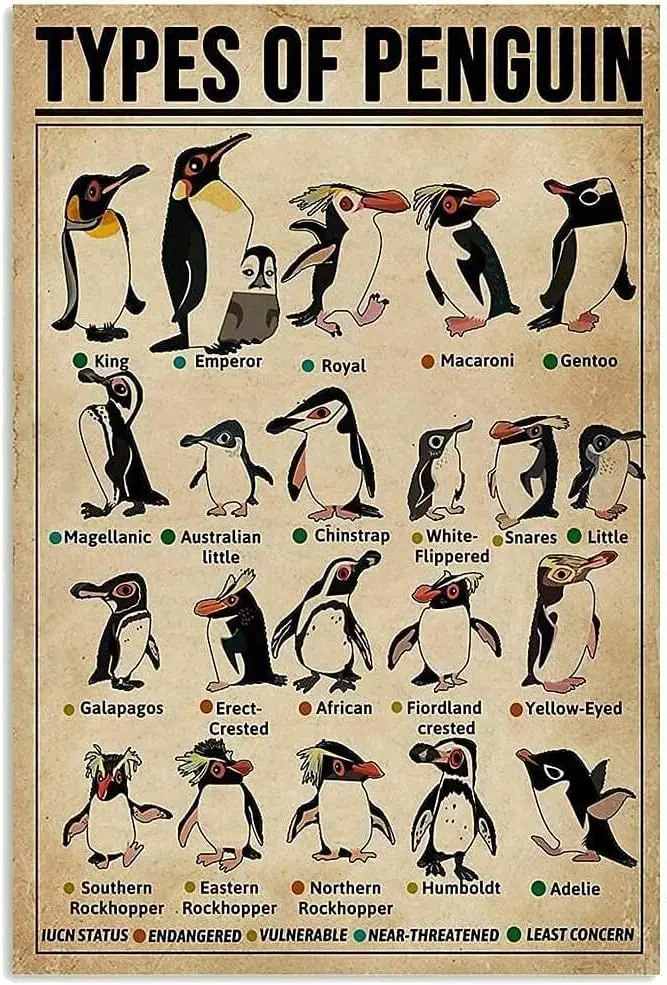 Panneau en métal vintage rétro avec motifs de pingouins, décoration de chambre, affiches imprimées rétro sur le thème des pingouins, pour la maison, le club, la salle de classe, l'apprentissage W