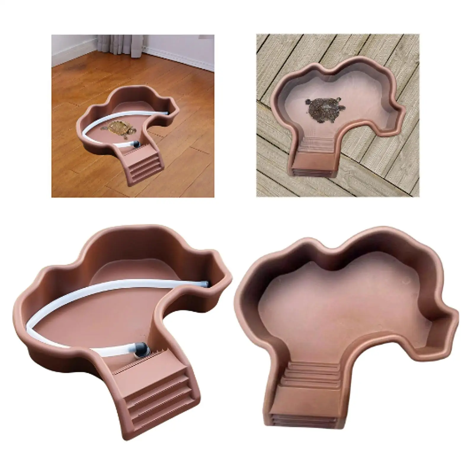 Reptilien-Wassernapf, Baden, Pool, Ornament, Futternapf, Schildkröte, Futternapf mit Rampe