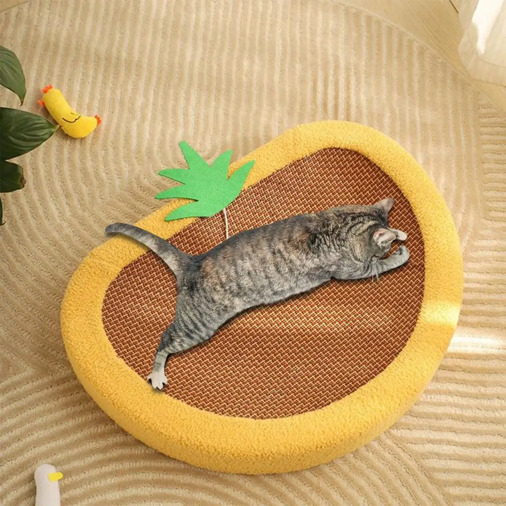 Cat Scratching Board Bed Cozy Portable Cat Lounge Bed for Indoor Room Puppy