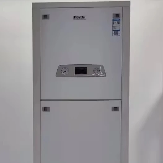 High Efficiency Gas Boiler With Large Water Tank For Apartment Heating With Compact Design And Low Noise