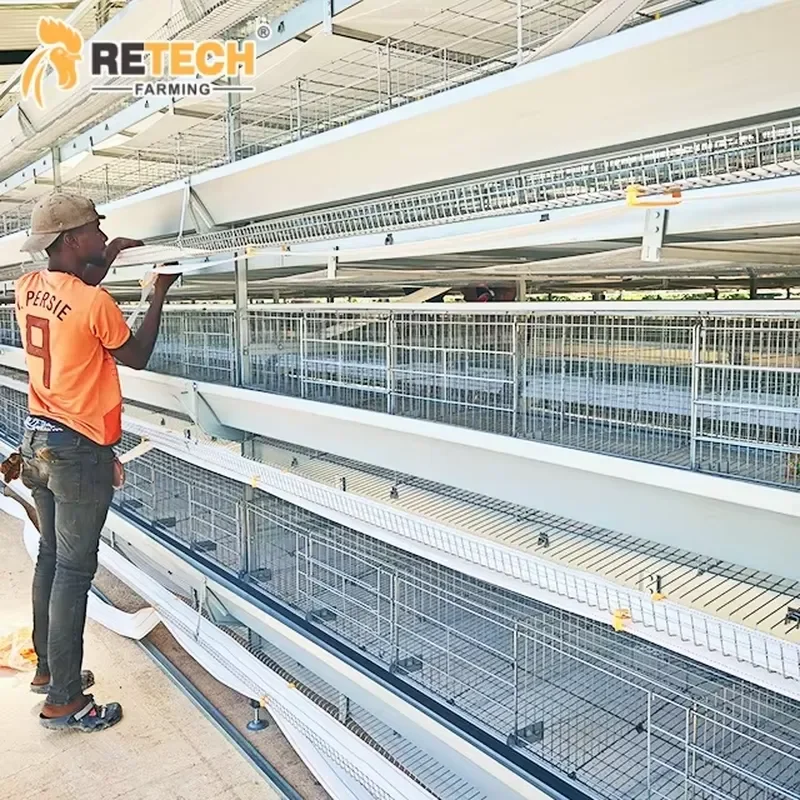 Hot Dip Galvanized Automatic Chicken Farming Equipment H-Type 3/4 Tiers Laying Hens Poultry Chicken Cage for Sale