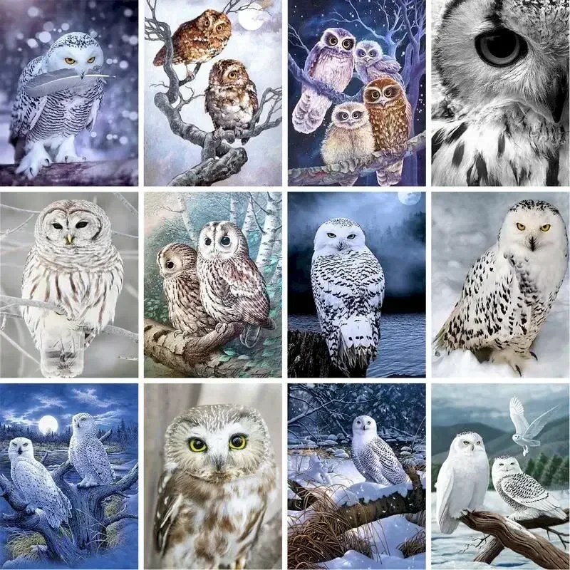 

124896 Acrylic Diy Painting By Numbers Kits Owl Animals Acrylic Paint On Canvas Drawing Coloring By Numbers For Diy Gift