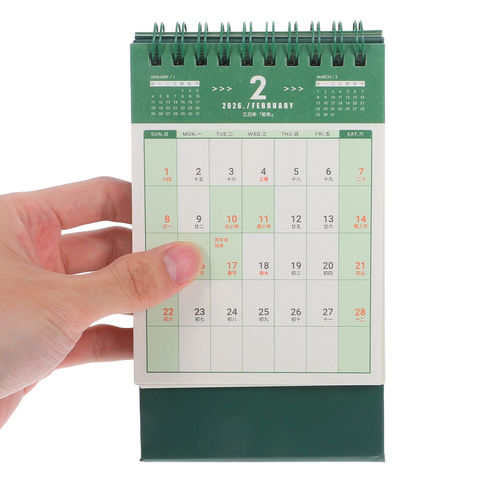 

Office Desk 2026 Calendar Daily Desktop Compact Green Planner Calander Aesthetic Student