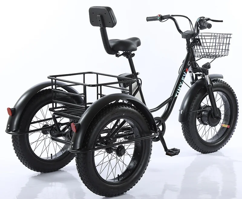 3-Rad 20-Zoll Fatbike für Erwachsene mit herausnehmbarem Akku, Elektrofahrrad 48V 500W, Elektro-Mountainbike mit Gepäckträger – Detail 3