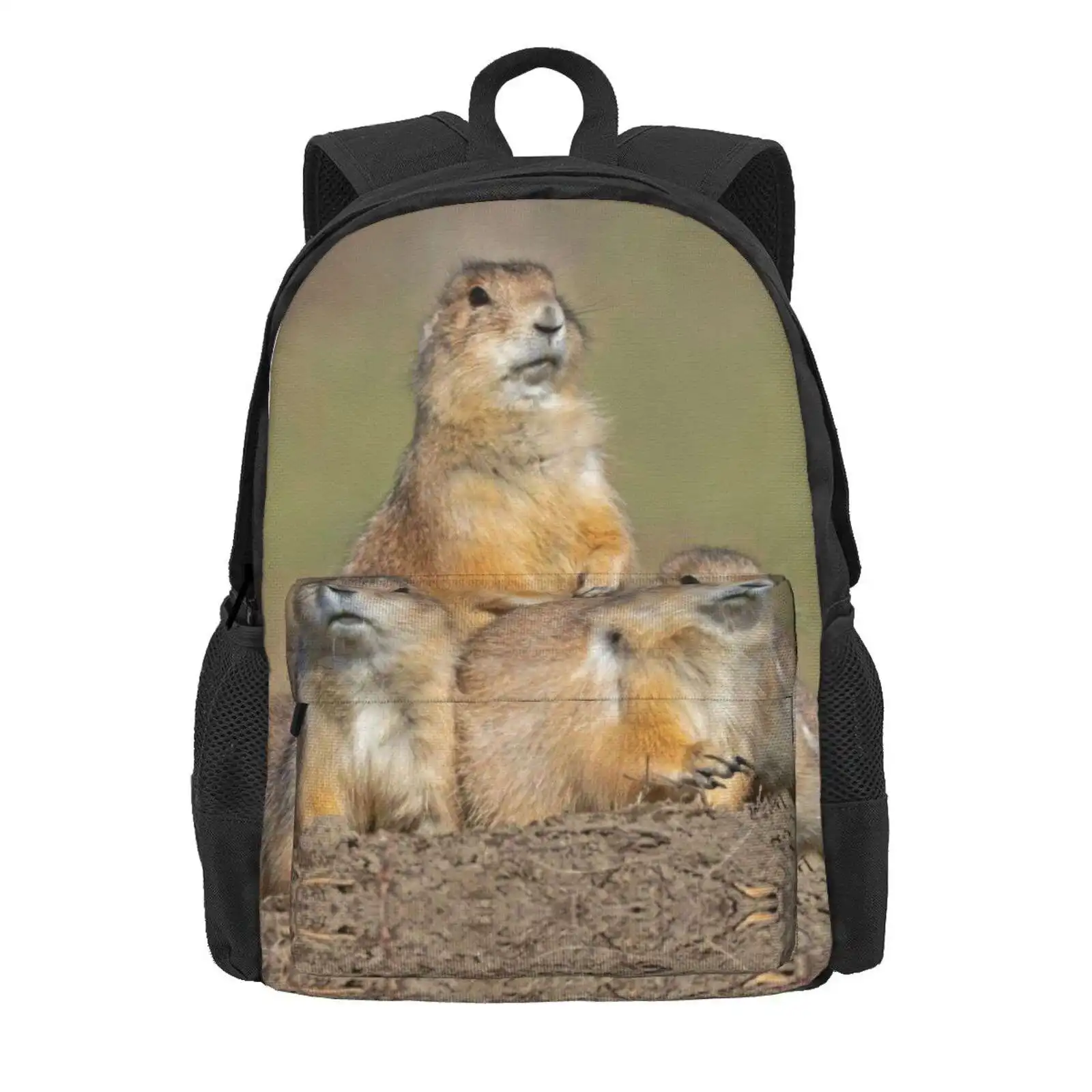 Three Black-Tailed Prairie Dogs At Theodore Roosevelt Np Hot Sale Schoolbag Backpack Fashion Bags Black Tailed Prairie Dogs